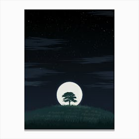 Full Moon In The Sky Canvas Print