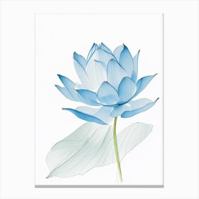 Blue Lotus Pencil Illustration 2 Canvas Print