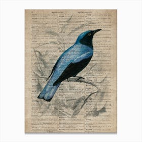 Drongo Dictionnaire Universel Dhistoire Naturelle Canvas Print