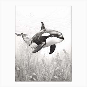 Underwater Realistic Grey Pencil Drawing Of Orca Whale Canvas Print