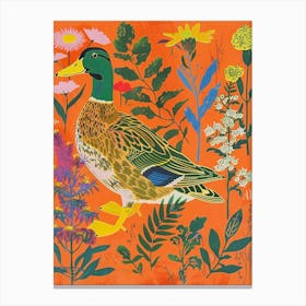 Spring Birds Mallard Duck 3 Canvas Print