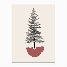 Fir Pine Canvas Print
