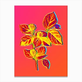 Neon Carolina Allspice Flower Botanical in Hot Pink and Electric Blue Canvas Print