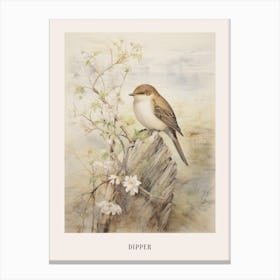 Vintage Bird Drawing Dipper 3 Poster Canvas Print
