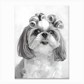 Shih Tzu Dog With Hair Curlers On Its Head Canvas Print