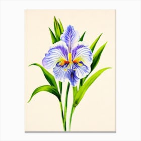Iris 2 Vintage Flowers Flower Canvas Print