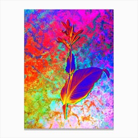 Indian Shot Botanical in Acid Neon Pink Green and Blue n.0353 Canvas Print