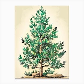 Balsam Tree Storybook Illustration 3 Canvas Print