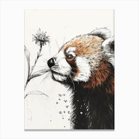 Red Panda Sniffing A Flower Ink Illustration 2 Canvas Print