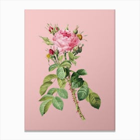 Vintage Lelieur's Four Seasons Rose Botanical on Soft Pink n.0793 Canvas Print