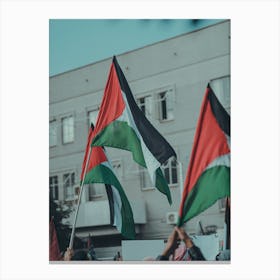 Palestinian Flags Canvas Print
