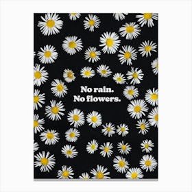 No Rain - No flowers - Gallery Wall Art Print Canvas Print