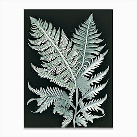 Silver Lace Fern 2 Vintage Botanical Poster Canvas Print