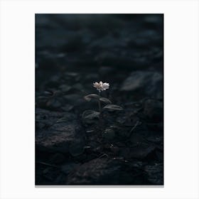 Flower In The Dark 25 Canvas Print