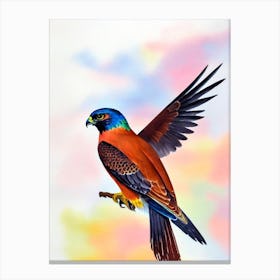 Falcon Watercolour Bird Canvas Print