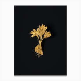 Vintage Autumn Crocus Botanical in Gold on Black n.0302 Canvas Print