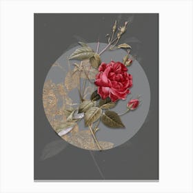 Vintage Botanical Blood Red Bengal Rose on Circle Gray on Gray n.0299 Canvas Print