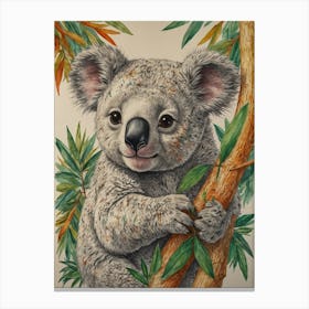 Koala 29 Canvas Print