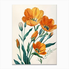 Orange Tulips 5 Canvas Print