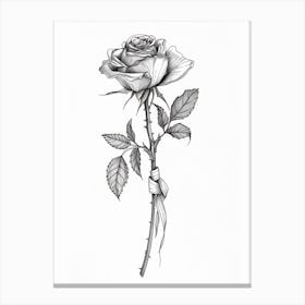 English Rose Black And White Line Drawing 21 Canvas Print
