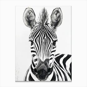 Zebra Canvas Print