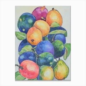 Guava Vintage Sketch Fruit Canvas Print