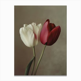 2024 May Poster Tulips 1 Canvas Print