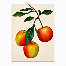 Apple Watercolour Fruit Painting Fruit Canvas Print