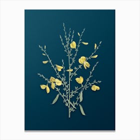 Vintage Yellow Broom Flowers Botanical Art on Teal Blue n.0885 Canvas Print