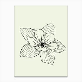 Flower Drawing 1 Canvas Print