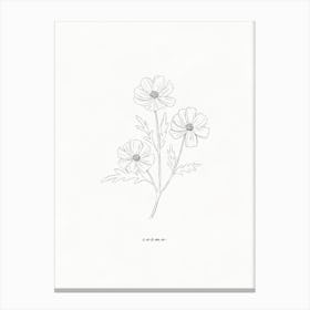Cosmo Floral Line Drawing Canvas Print