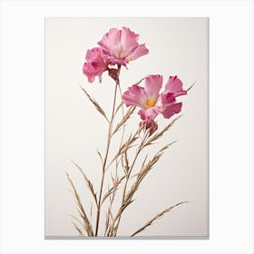 Pressed Wildflower Botanical Art Fireweed Chamerion 2 Canvas Print