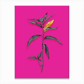 Vintage Dayflower Black and White Gold Leaf Floral Art on Hot Pink n.1154 Canvas Print