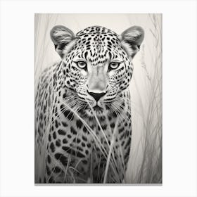 African Leopard Realism Portrait 2 Canvas Print