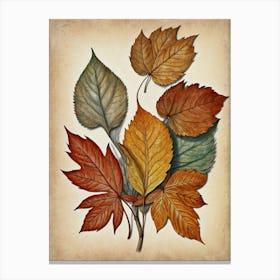 Autumn Leaves Canvas Print Canvas Print