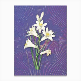 Vintage St. Bruno's Lily Botanical Illustration on Veri Peri n.0011 Canvas Print