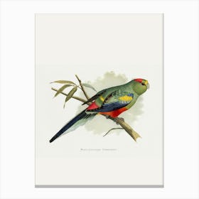 Parrot Canvas Print