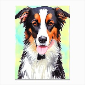 Border Collie 3 Watercolour dog Canvas Print