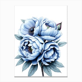 Blue Peonies Canvas Print