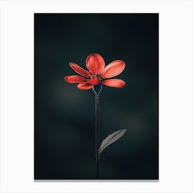 Single Red Flower 10 Stampe su tela