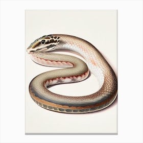 Smooth Snake 1 Vintage Canvas Print