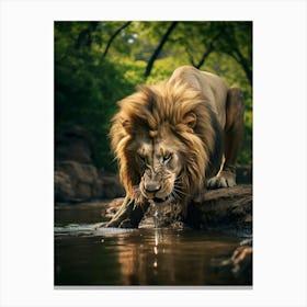 African Lion Drinking Water Realism 3 Canvas Print