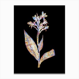 Stained Glass Water Canna Mosaic Botanical Illustration on Black n.0167 Canvas Print