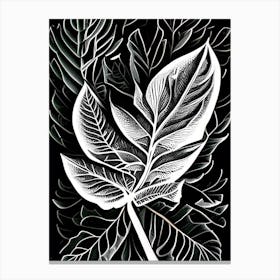 Camphor Leaf Linocut 1 Canvas Print