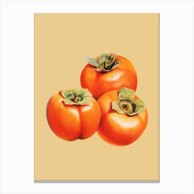 Persimmons 2 Canvas Print