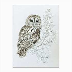 Tawny Owl Marker Drawing 6 Canvas Print