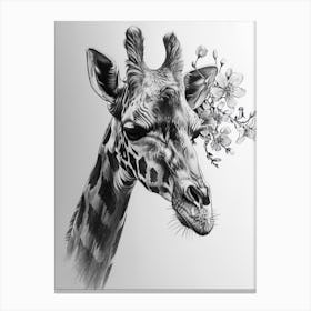 Giraffe With Their Head In The Flowers 3 Canvas Print