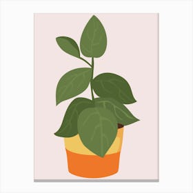 Mid Century Potted Plant Canvas Print