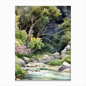 River In The Forest Canvas Print