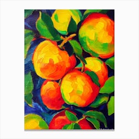 Star Apple Fruit Vibrant Matisse Inspired Painting Fruit Canvas Print